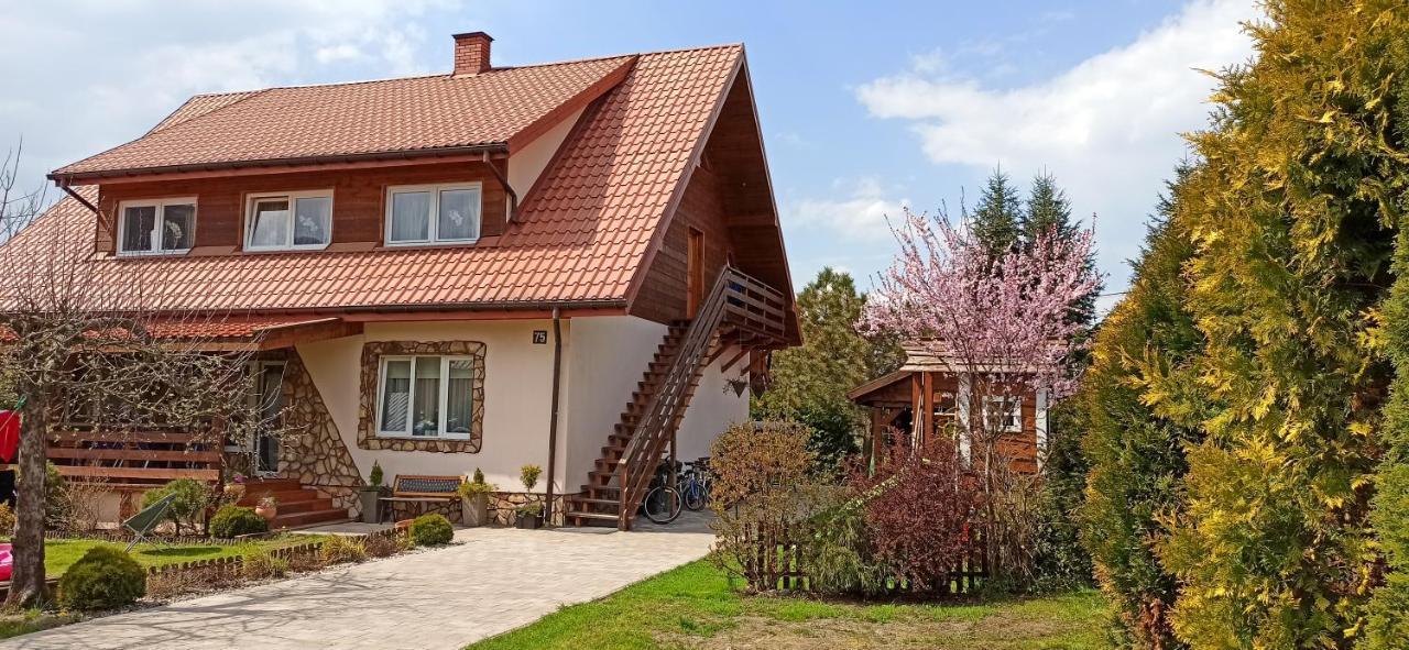 Rodzinny Zakatek "U Gluszkow" Bieszczady Myczkowce Exterior foto